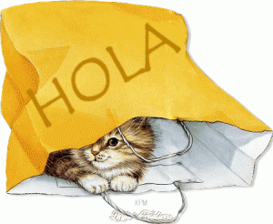 hola gatomvt